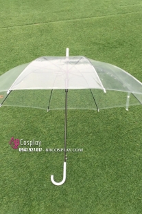 Dù Trong Suốt Chụp Ảnh