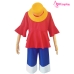 Bộ Cosplay Luffy Timeskip - ONE PIECE