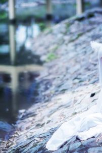 Cổ Trang 11 (Hồ Ly)