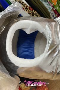 Đồ Phi Hành Gia Trắng Nón Bạc - Astronaut Costume