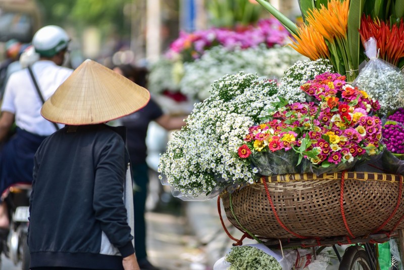 Gánh hàng mùa hoa cúc họa mi Hà Nội