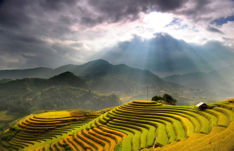 Ruộng bậc thang – Sapa