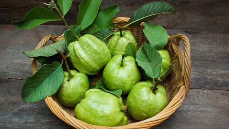 Sở hữu mái tóc bồng bềnh bằng cách ăn ổi