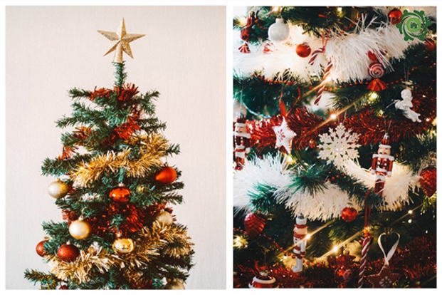 15+ Ý Tưởng Trang Trí Cây Thông Noel Trong Nhà, Ngoài Trời Đẹp Nhất