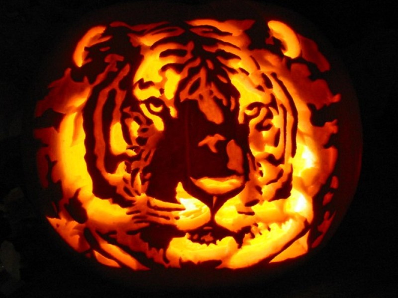 Những quả bí ngô Halloween đẹp nhất