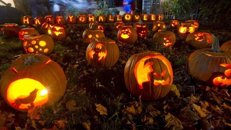 Những quả bí ngô Halloween đẹp nhất