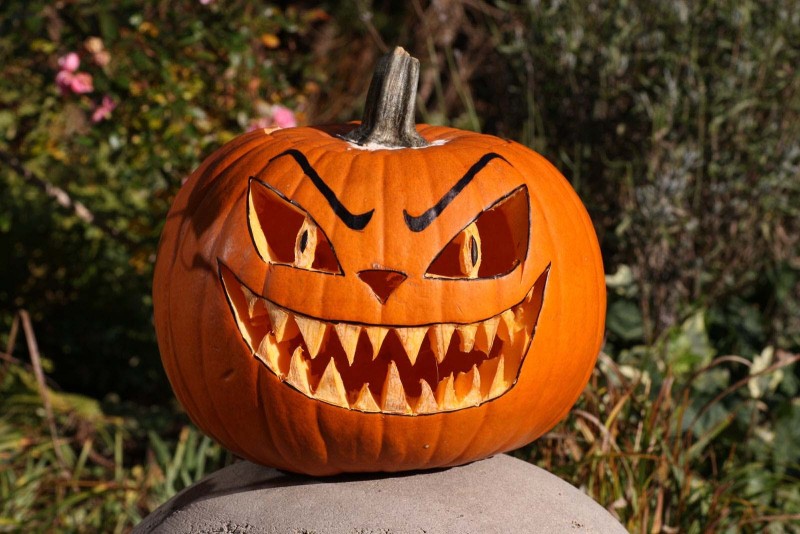 Những quả bí ngô Halloween đẹp nhất