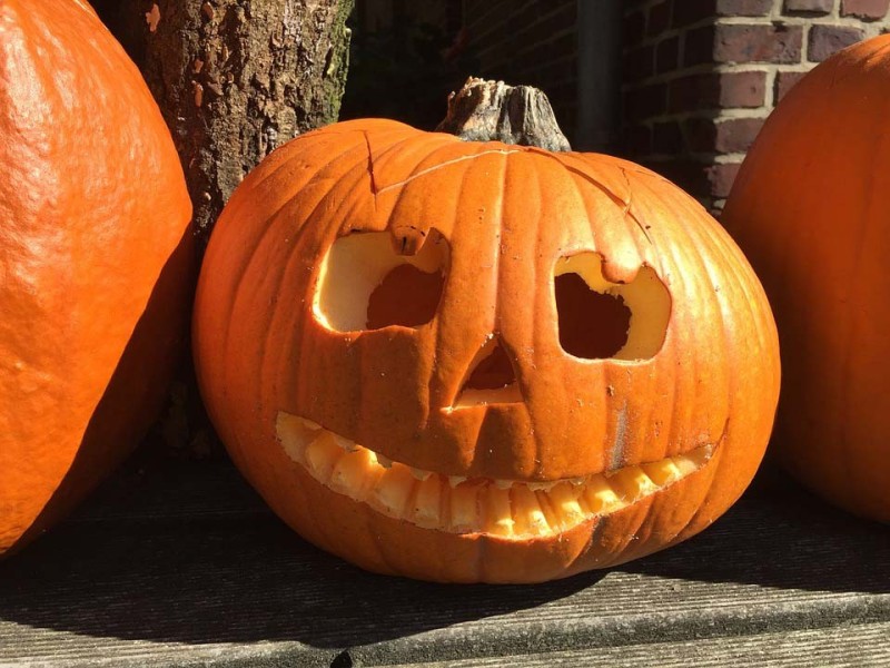 Những quả bí ngô Halloween đẹp nhất