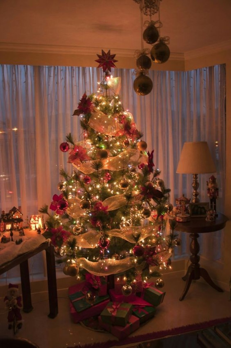 ý nghĩa cây thông noel