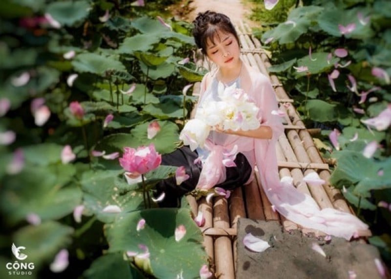 Thời gian chụp ảnh hoa sen phù hợp