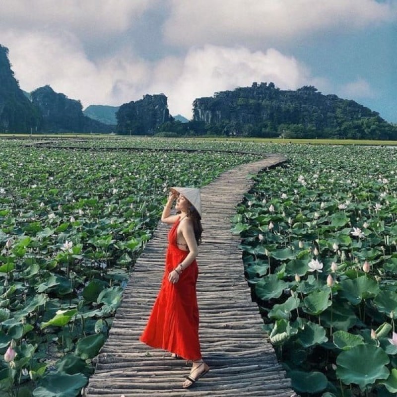 Một số cách tạo dáng khi chụp ảnh hoa sen