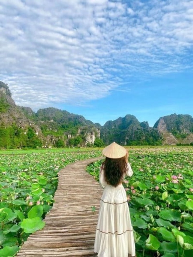 Mặc váy trắng chụp ảnh sen