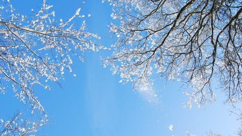 Tiết Tiểu Tuyết là sự báo hiệu cho mùa đông đã đến