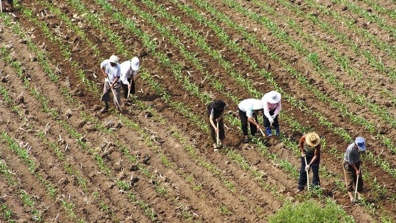 Canh tác, bắt đầu mùa vụ mới