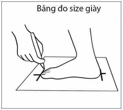 Bảng Size Giày Và Cách Quy Đổi Size Giày Nam Nữ Chuẩn