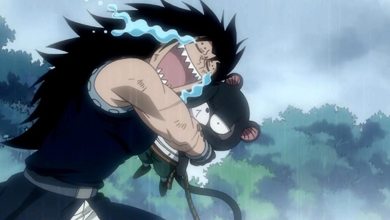 Gajeel and Pantherlily - Truyện cổ tích bức ảnh (35728857) - fanpop