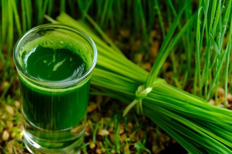 Nước ép cỏ lúa mạch