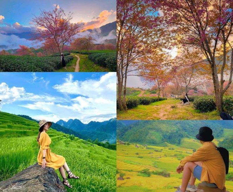 Tạo dáng chụp ảnh ngồi nhìn xa xăm