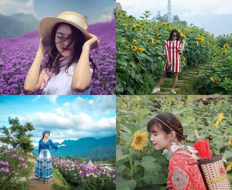 Tạo dáng ngửi hoa ở Sapa