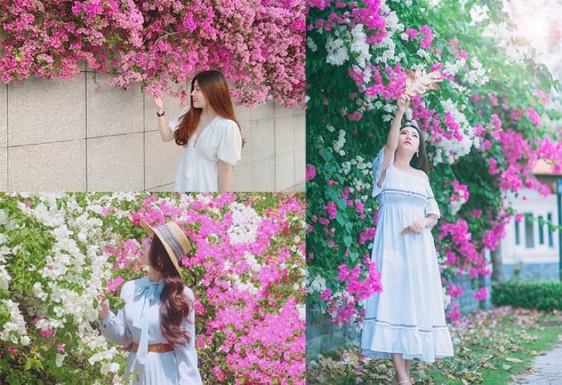 Đưa tay chạm nhẹ vào cánh hoa