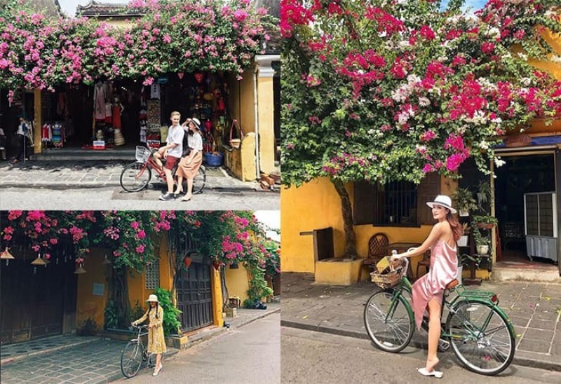 Tạo dáng chụp ảnh với hoa giấy và xe đạp
