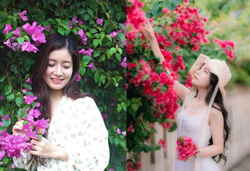 Tạo dáng hái hoa giấy