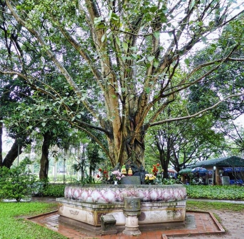 Chùa Một Cột