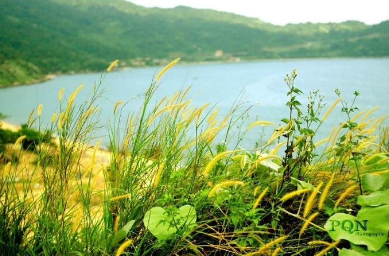  Đà Nẵng