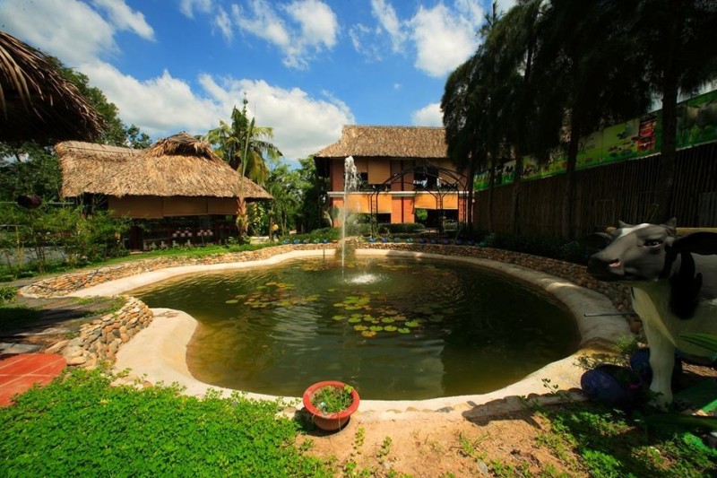 Có một nông trang rất xanh sau lưng thành phố