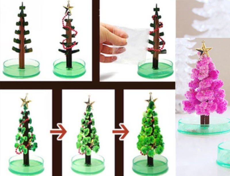 cây thông noel