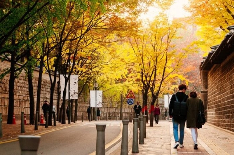 CẢNH ĐẸP SEOUL HÀN QUỐC - Con đường lát đá lãng mạng Deoksugung Doldam – gil 