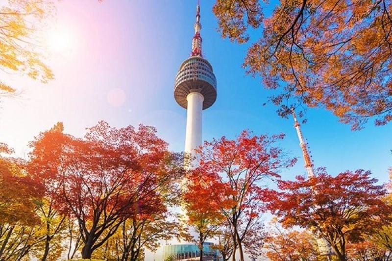 CÔNG VIÊN NAMSAN MÙA LÁ ĐỎ