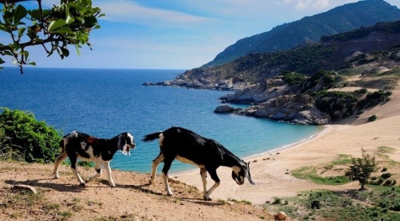 biển Phan Rang 