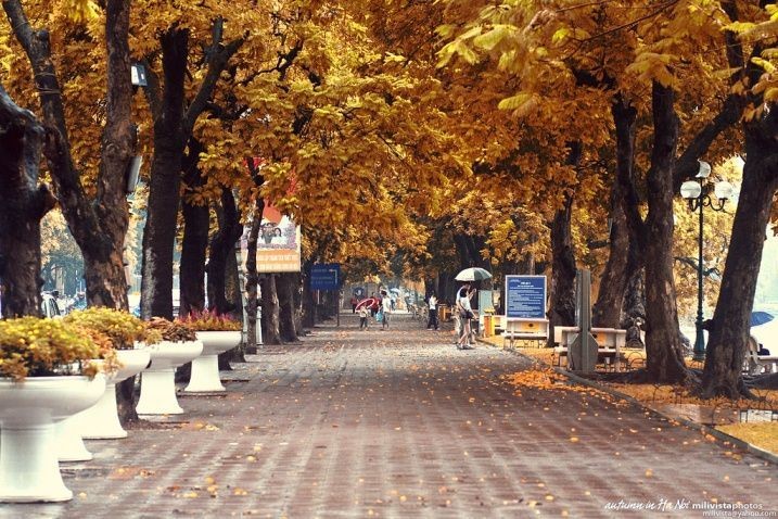 Lặng Ngắm Những Mảng Màu Khắc Khoải Dịu Dàng Bên Hồ Gươm Cuối Thu