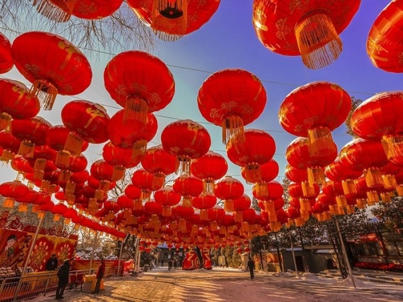 Đèn lồng đỏ được trang trí khắp nơi 