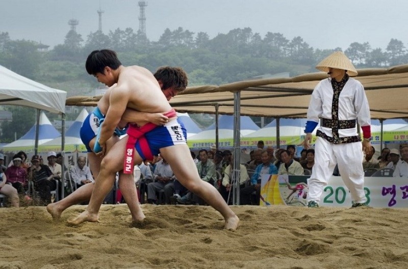 Trò đấu vật