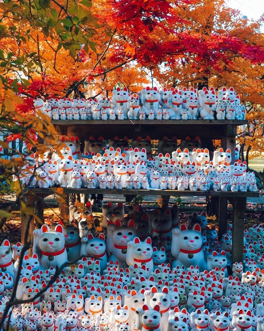 Ngôi Đền Gotokuji Có Hàng Nghìn Tượng Mèo Vẫy Tay Ở Nhật Bản