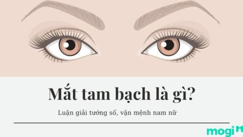Mắt tam bạch là gì?