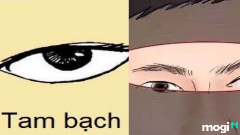 Mắt tam bạch là gì? Ý nghĩa mắt tam bạch ở nam giới