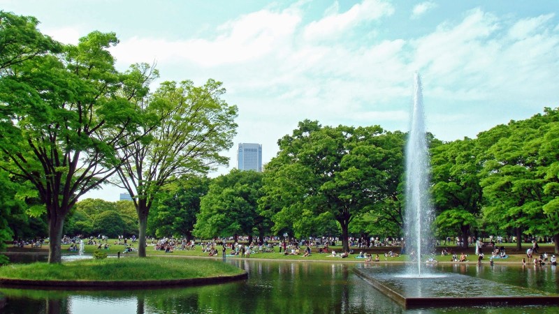 cong vien Yoyogi 2