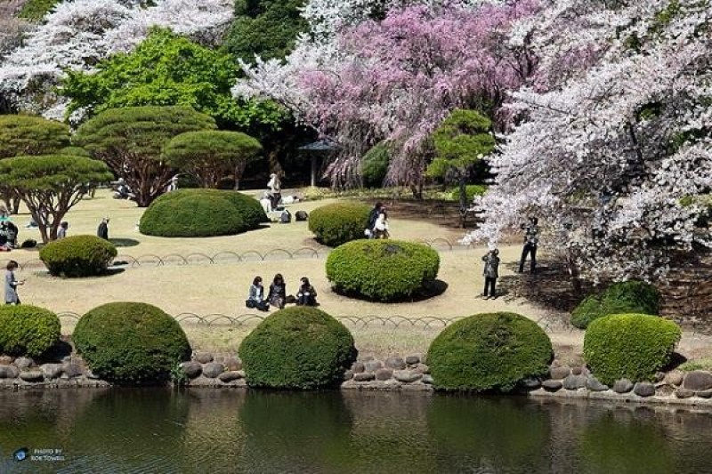 Công viên Yoyogi