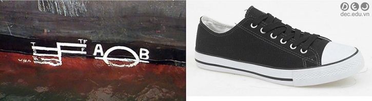 Những Điều Bạn Cần Biết Về Giày Sneaker