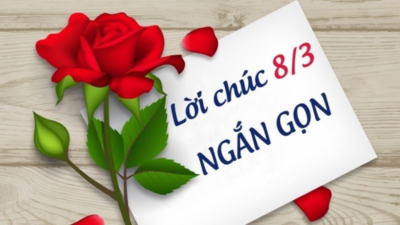 Lời chúc 8/3 hay và ý nghĩa dành cho cô giáo