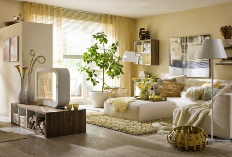 phong-cach-eco