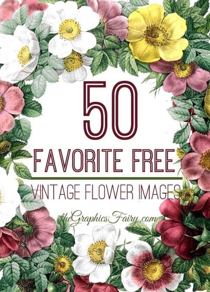 phong-cach-thiet-ke-noi-that-vintage