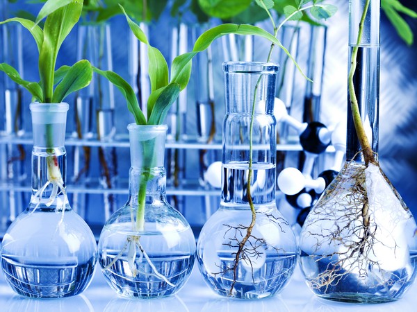 Thiết Kế Phỏng Sinh Học (Biomimetic Design) Là Gì?