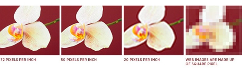 Tìm-hieu-ve-do-phan-giai-hinh-anh-va-nhung-thong-so-in-an-11