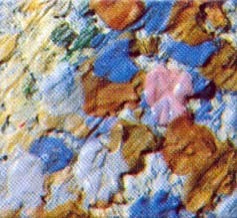 truong-phai-cham-hoa-pointillism