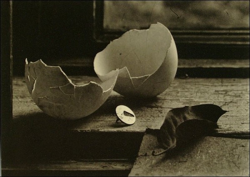 still-life-photography-nhiep-anh-tinh-vat-la-gi_