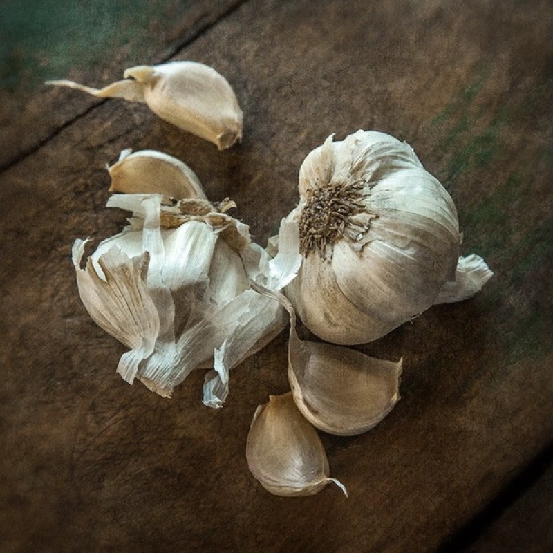 still-life-photography-nhiep-anh-tinh-vat-la-gi_